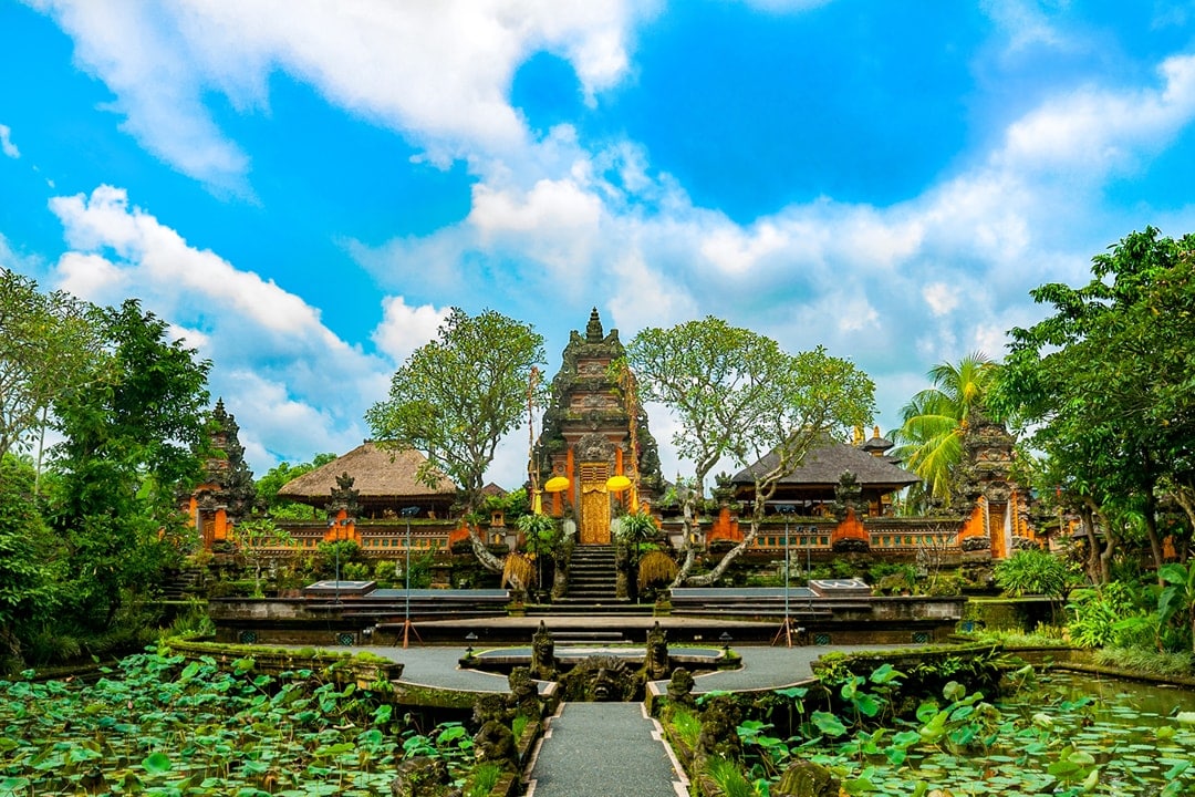 Lush green fields in Bali