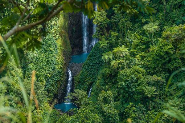 Rainforest waterfall during the wet season in Samoa