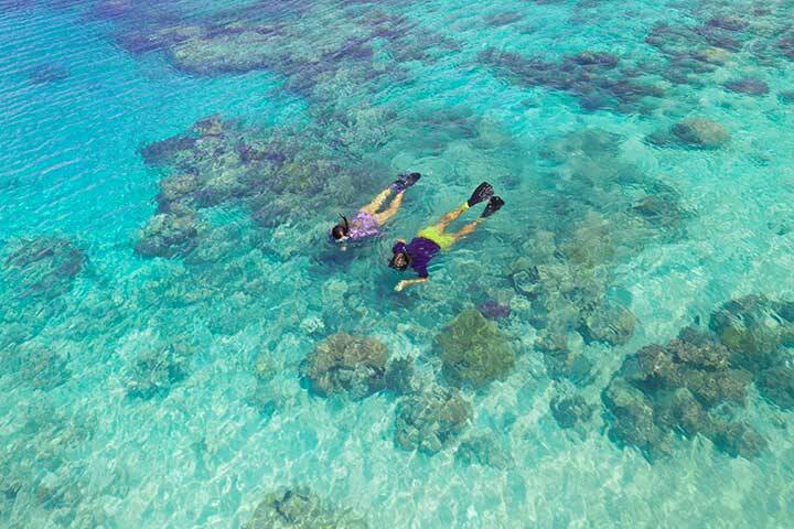 Aerial view of a couple snorkelling on the Great Barrier Reef