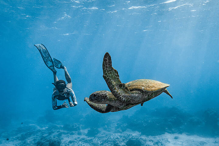 Snorkelling with turtles on Cocos Keeling Islands