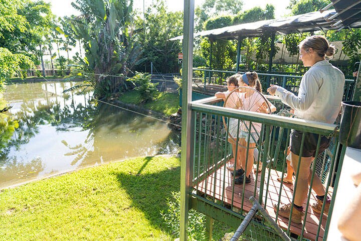 Crocodylus Park & Zoo, located only 15 minutes from Darwin's CBD, gives you a full NT outback experience in the city.