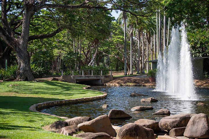 Take a walk through the George Brown Darwin Botanic Gardens to see a magnificent display of plants from northern Australia and tropical areas around the world.