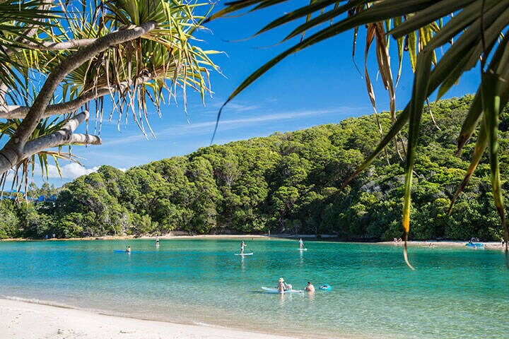 Swimming, kayaking and stand up paddleboarding in the Tallebudgera Creek