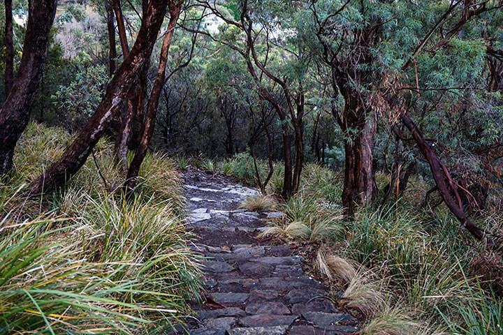 Knocklofty Reserve nearby Hobart in walking distance for a hike in Tasmania, Australia 