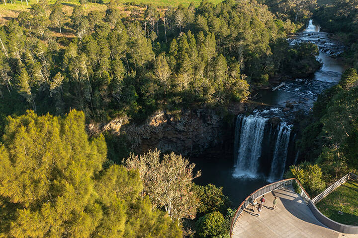 Aerial view of the viewing platform looking on to Dangar Falls in Dorrigo National Park