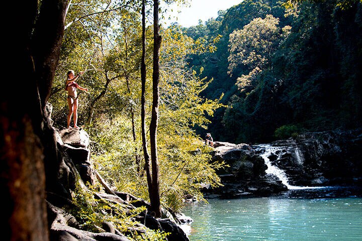 Family explores the Sunshine Coast forests and waterfalls in the Hinterland  