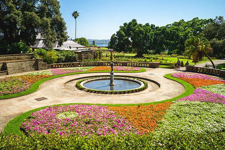 scenery of Royal Botanic Gardens in sydney, australia