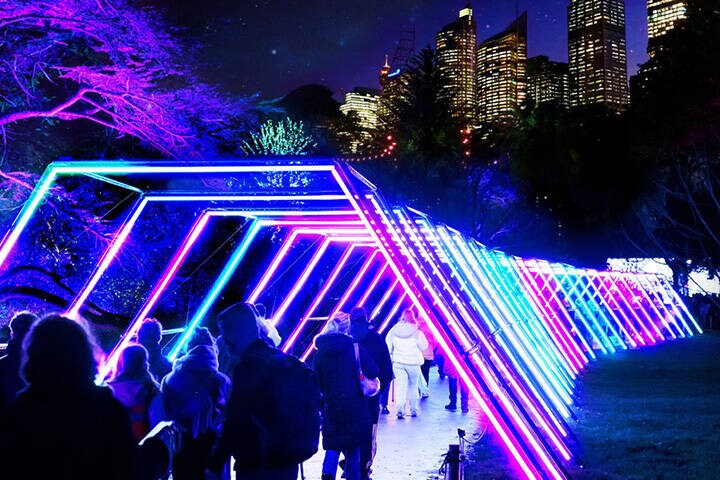 Lightscape installation, for Vivid Sydney in Royal Botanic Gardens
