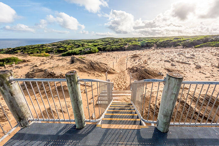 Photograph from the viewing platform in the Calcified Forest on King Island in Tasmania 