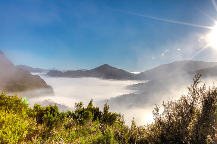 Mystic and surreal landscape with morning fog in the mountains on way to the Cradle Mountain-Lake St Clair National Park, Tasmania, Australia