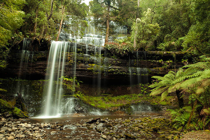 Russell Falls In The Mount Field National Park, Tasmania, Australia