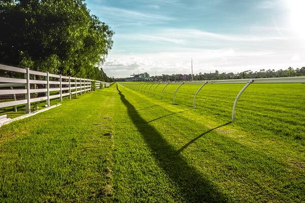 A lush grassy field of the Melbourne Cup race track, featuring the pristine turf and barriers set for horse racing.