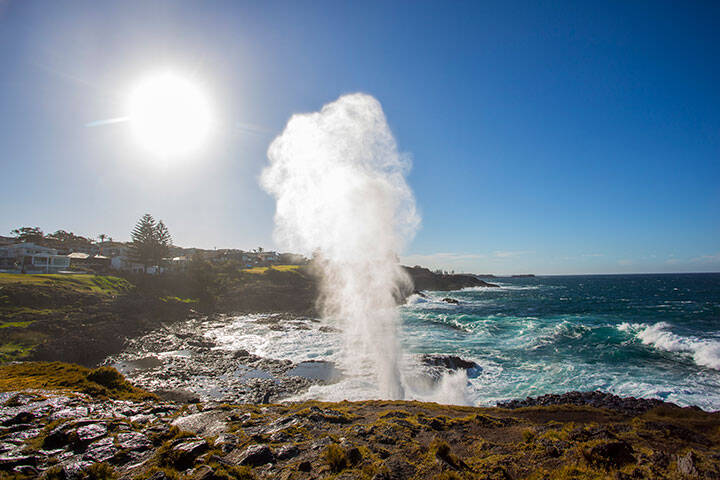 Water plume spouting from the Kiama blowhole